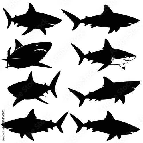 Eight shark silhouettes swim in ocean depths depicted in illustration