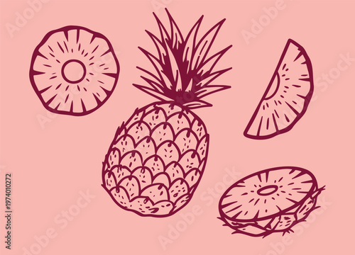 A drawing of a whole and sliced pineapples