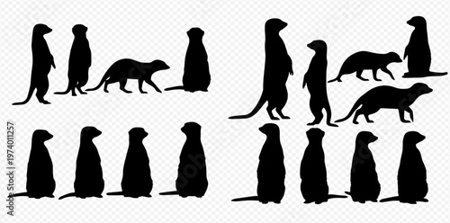 Set of meerkat silhouettes in various poses, including standing and walking, isolated on a transparent background.