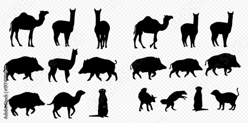 Collection of various animal silhouettes including camels, llamas, wild boars, and meerkats in different poses.
