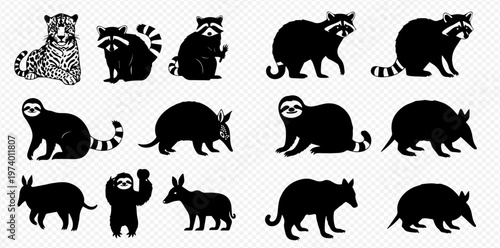 Collection of various wild animals in silhouette form, including raccoons, sloths, and armadillos, isolated on a transparent background.