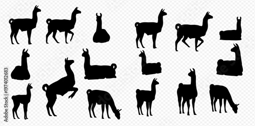 Collection of black llama silhouettes in various poses on a transparent background, perfect for design elements and animal-themed projects.