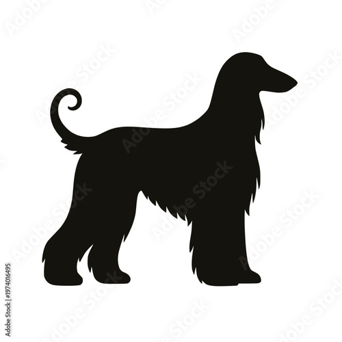 Afghan Hound dog standing side view silhouette vector illustration