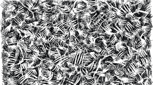 Intricate black and white abstract expressionism a dense network of lines and textures