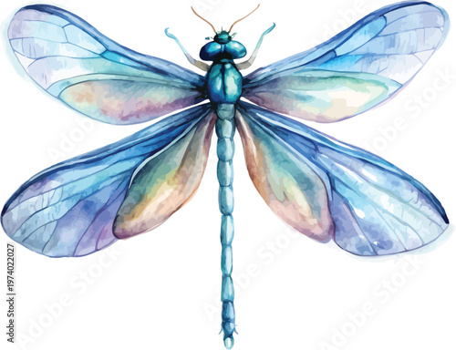 Watercolor Damselfly Illustration, Elegant sitting Insect Art, vector isolated on white background