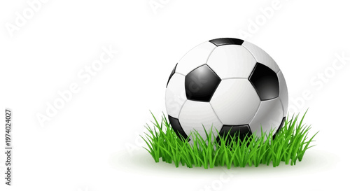 A classic black and white soccer ball rests in a patch of vibrant green grass, presented as a clean, graphic illustration with a bright and cheerful mood against a pristine white