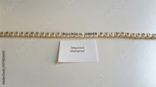 Biological Order Concept Visualized with Letter Tiles on a White Surface, Sequence and Structure Emphasized