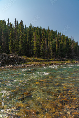 Scenic summer landscape of Elbow Falls in Kananaskis Country, Alberta, Canada. Beautiful waterfall cascading over rocky cliffs into the Elbow River with evergreen pine forest and blue sky Canada