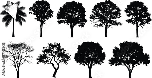 Collection of detailed tree silhouettes including palm oak and maple species isolated on white background for landscape design architectural visualization and environmental nature projects.