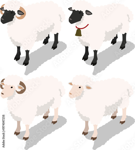 Isometric sheep livestock illustration