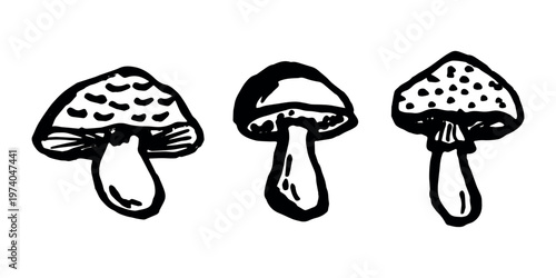 Hand drawn mushroom doodle set Botanical illustration Cute autumn mushroom Healthy eco food Organic vegetarian food For stickers, greeting card, design, print, packaging, decor, kids books