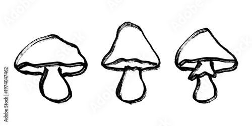 Hand drawn mushroom doodle set Botanical illustration Cute autumn mushroom Healthy eco food Organic vegetarian food For stickers, greeting card, design, print, packaging, decor, kids books