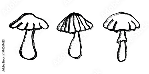 Hand drawn mushroom doodle set Botanical illustration Cute autumn mushroom Healthy eco food Organic vegetarian food For stickers, greeting card, design, print, packaging, decor, kids books