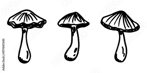 Hand drawn mushroom doodle set Botanical illustration Cute autumn mushroom Healthy eco food Organic vegetarian food For stickers, greeting card, design, print, packaging, decor, kids books