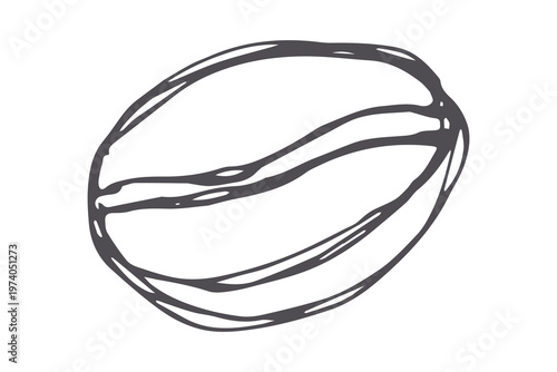 Hand drawn fresh roasted coffee bean Arabica robusta seed doodle Single element for print, web, design, decor