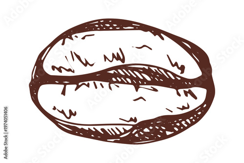 Hand drawn fresh roasted coffee bean Arabica robusta seed doodle Single element for print, web, design, decor