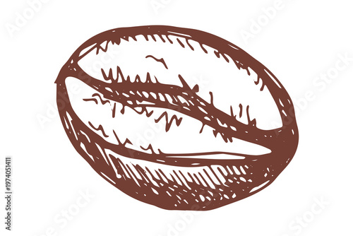 Hand drawn fresh roasted coffee bean Arabica robusta seed doodle Single element for print, web, design, decor