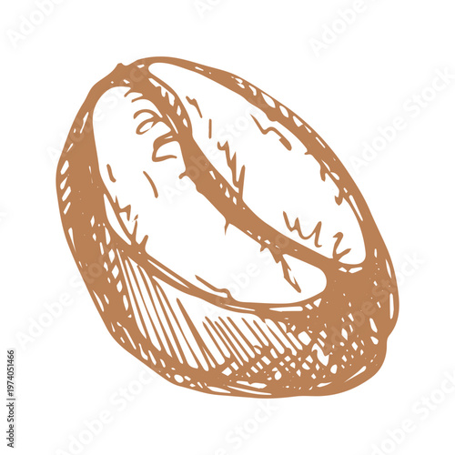 Hand drawn fresh roasted coffee bean Arabica robusta seed doodle Single element for print, web, design, decor