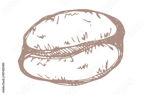 Hand drawn fresh roasted coffee bean Arabica robusta seed doodle Single element for print, web, design, decor