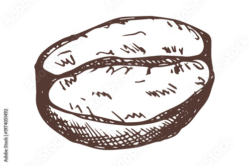 Hand drawn fresh roasted coffee bean Arabica robusta seed doodle Single element for print, web, design, decor