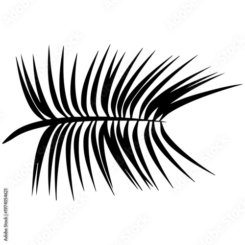 Tropical Palm Leaf Silhouette