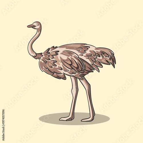 Illustration of an Ostrich