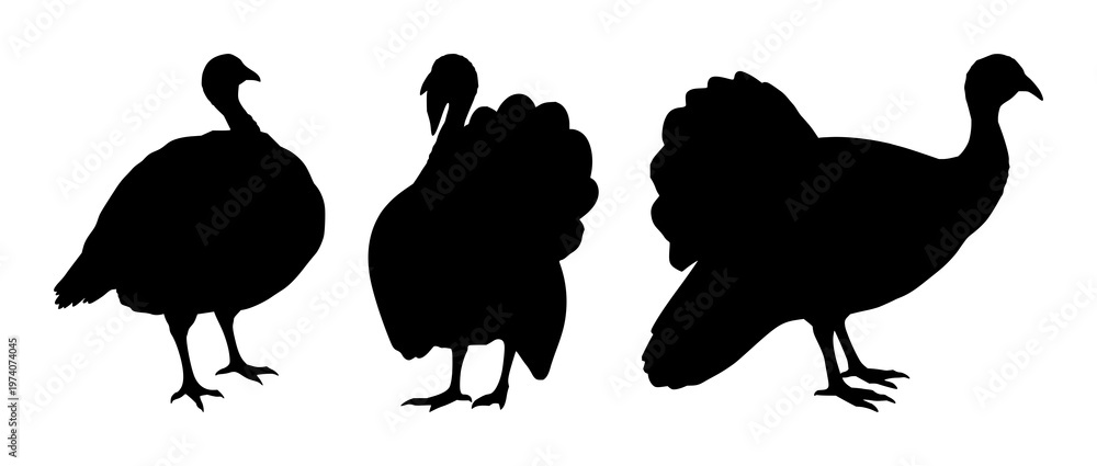 Fototapeta premium Turkey bird silhouette set with simple line art design featuring line art, illustrations, graphic resources with vector and design elements