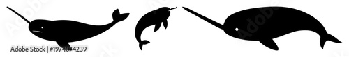 Narwhal set with solid black silhouette on white background featuring arctic marine symbol, spiral tusk, flat 2D with whale and marine animal