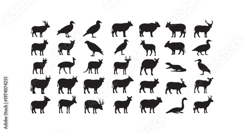 Intricate patterns of traditional Indian mehndi designs showcasing delicate floral and paisley motifs