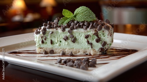Delicious dessert slice with chocolate chips and mint garnish on a plate