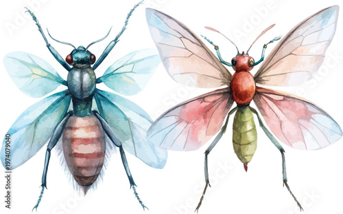 Watercolor Gnat Illustration, Tiny Flying Insect Art, isolated on white background