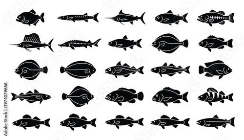 Extensive collection of fish silhouettes showcasing various aquatic species in black and white ideal for educational materials marine life presentations and fishing related graphics.