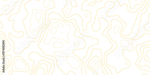 Golden topographic map contour lines on white background