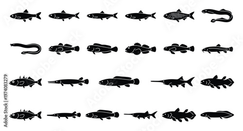 Comprehensive collection of freshwater and saltwater fish species depicted as black silhouette icons, ideal for aquatic ecology studies, fishing industry branding, educational materials,