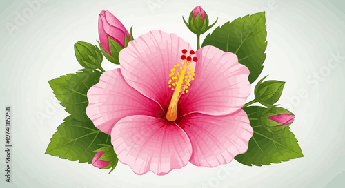 A beautiful macro bloom of a pink and white hibiscus flower with delicate petals and pollen-dusted stamen thrives in a lush summer garden nature scene