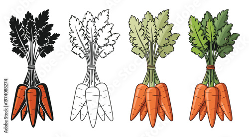 Nutritious fresh orange carrot vegetable bunches with vibrant green leaves provided in multiple graphic representations suitable for culinary recipe blogs and farmers market promotions