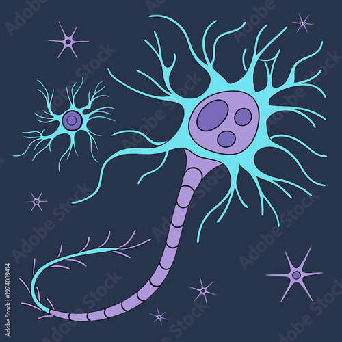 Stylized medical diagram of nerve cells with long axons and star shaped astrocytes on dark background for healthcare technology and research theme.