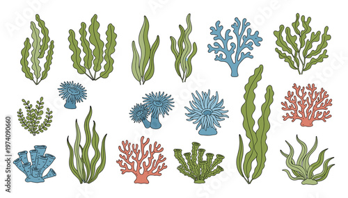 Colorful vibrant collection of diverse ocean seaweed and coral reef elements for aquatic environment decoration, marine biology education, and naturethemed projects