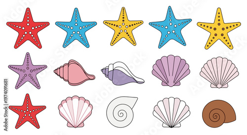 Colorful sea stars and seashells on white background