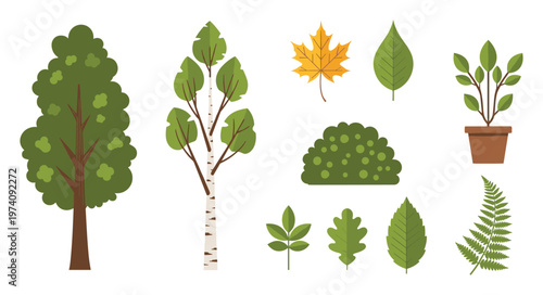A comprehensive collection of diverse plant types featuring lush trees, distinctive leaves, and various potted greenery, perfect for botanical themes in education, web design, or