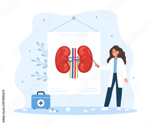 Kidney anatomy illustration with female doctor. Medical diagnosis and health care treatment. Internal organ study. Renal disease concept. Education poster. Vector in flat cartoon style.