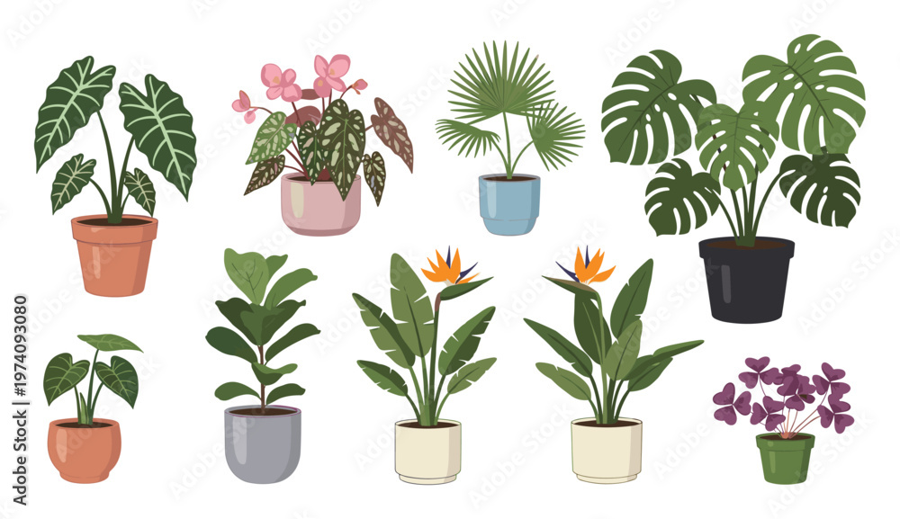 Fototapeta premium Diverse set of potted green foliage and blooming tropical plants offering a fresh natural aesthetic for modern home decoration and gardening blogs.