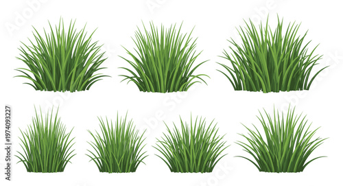 Lush green grass bushes providing fresh natural visuals for environmental conservation promotions, garden design layouts, or springtime outdoor advertising campaigns.