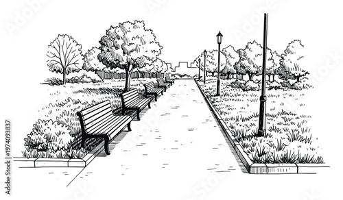 Black and white hand drawn sketch depicting a pleasant city park walkway with park benches and street lamps surrounded by trees and bushes, suitable for landscape projects or graphic