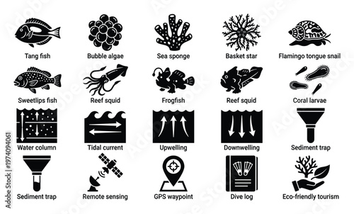 Essential marine life and oceanography icon set illustrating fish, sea creatures, underwater processes, and research equipment suitable for ecological studies and educational resources.