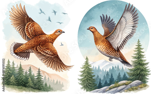 Hand-Painted Grouse Watercolor, Woodland Ground Bird Clipart, Isolated Vector Illustration
