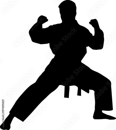 Martial Arts Karate Fighter Silhouette in Professional Action Stance