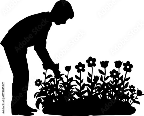 Black Silhouette Vector of a Person Gardening and Tending to Flowers in a Garden Bed Isolated on White Background