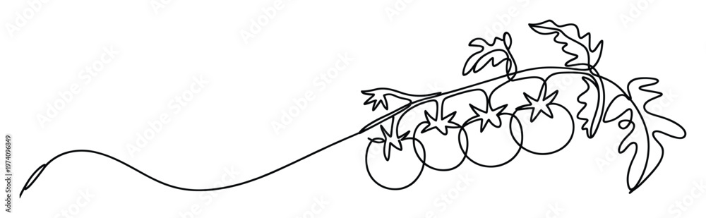 Obraz premium Continuous line drawing of fresh garden tomatoes on a branch with leaves provides a modern minimalist graphic for food packaging, culinary blogs, and healthy lifestyle advertisements