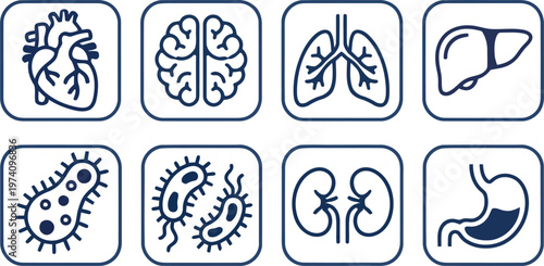 Human Internal Organs and Biological Bacteria Vector Icons Set